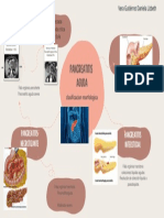 8pancreatitis Aguda Clasificacion