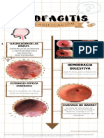 2) Clasificacion Esofagitis