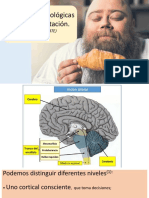 Resumen Mecanismos Neurobiologicos (Uno)