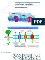 07 - Les Rôles de La Membrane Plasmique