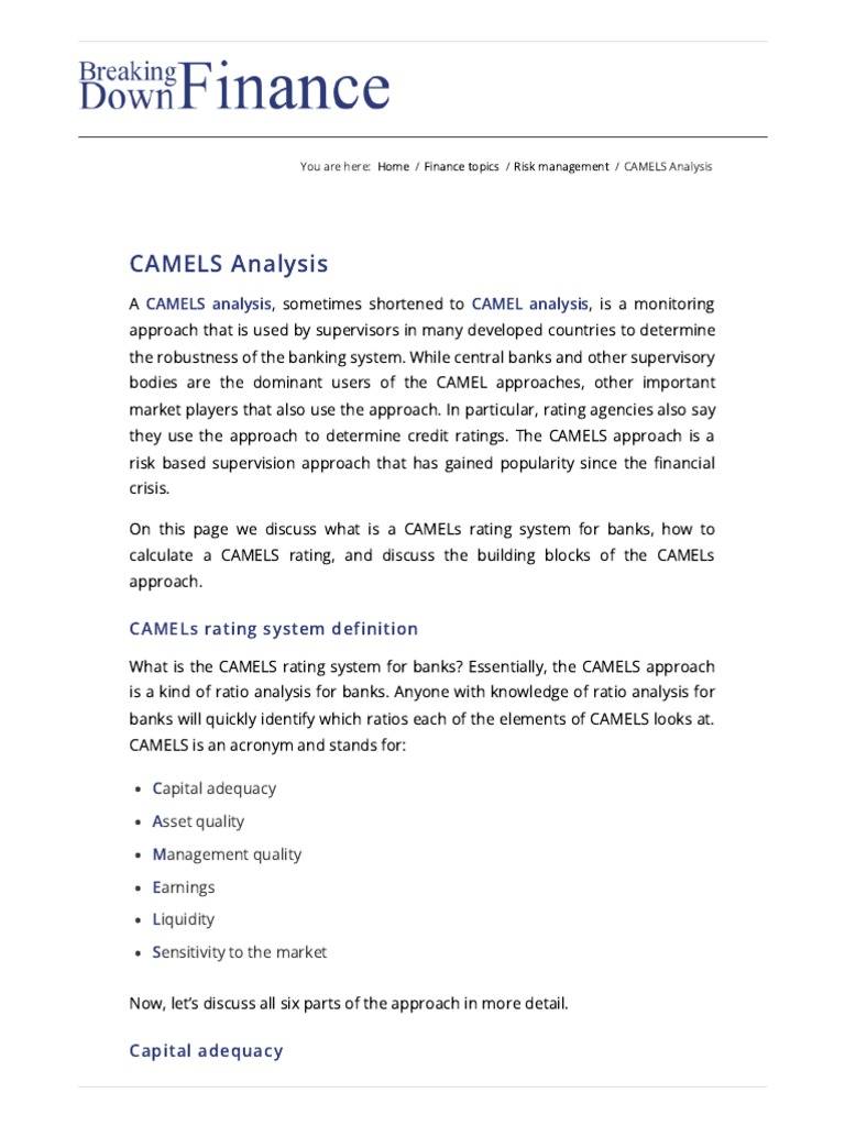 CAMELS Analysis Breaking Down Finance Download Free PDF Market