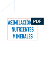 Asimilación de nutrientes minerales en plantas