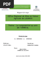Présentation de La RADEEF | PDF | la communication