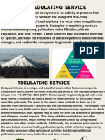What Is A Regulating Service
