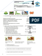 Ciencias Naturales 4°