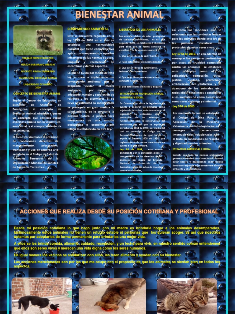 Trabajo Bienestar Animal | PDF | Bienestar de los animales | Etica Aplicada