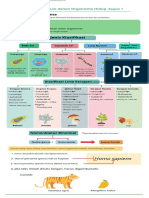 Diversity in Living Organisms V3 - Compressed - Compressed - En.id