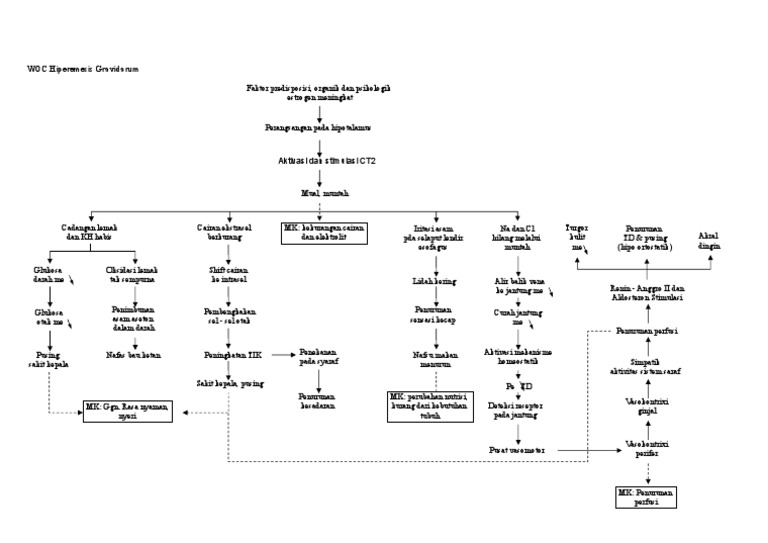WOC Hiperemesis Gravidarum | PDF