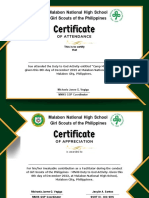 Malabon National High School Girl Scouts certificate duty god activity facilitator