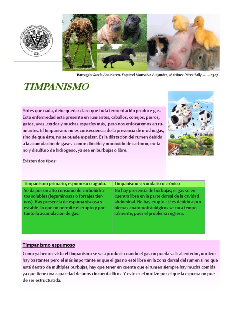 07 Timpanismo PDF Gases Química