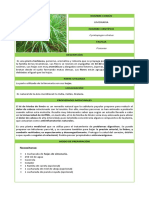 Ficha Técnica Planta Limonaria