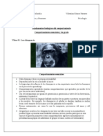 Comportamientos esenciales y de grado de chimpancés y bonobos