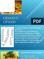 Lípidos o grasas: Características y clasificación