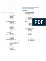 Esqueleto Axial y Perpendicular