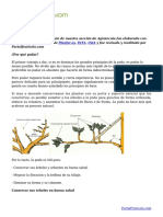 Manual de Poda de Árboles Frutales Mayores y Menores