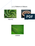 1.1 Patterns Nature Activities