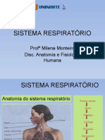 Sistema respiratório humano anatomia fisiologia
