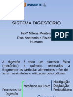 Sistema Digestório