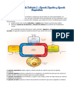 Tem 3 - Funció D Nutrició I - Aparat Digestiv Aparat Respiratori