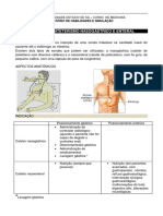 Cateterismo Nasogástrico + Enteral