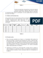 Protocolo Guías Componente Practico (2) - 221010 - 203507