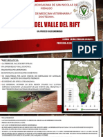 Fiebre Del Valle Del Rift