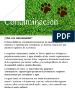 La contaminacionQUIMICA