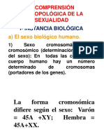 Comprensión antropológica sexualidad