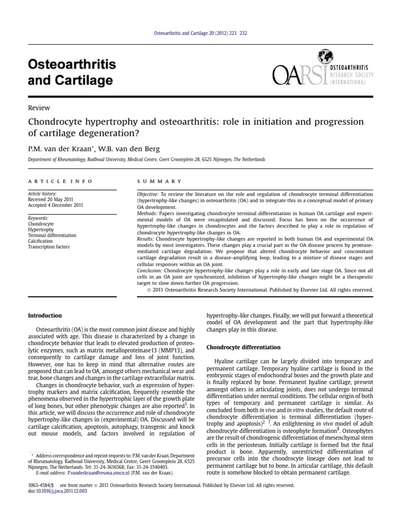Chondrocyte Hypertrophy and Osteoarthritis Role in Initiation and ...