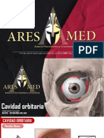 Anatomía - Vision 1
