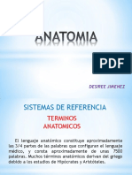 Anatomia 2