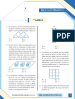 T Sem6 Raz Matematico