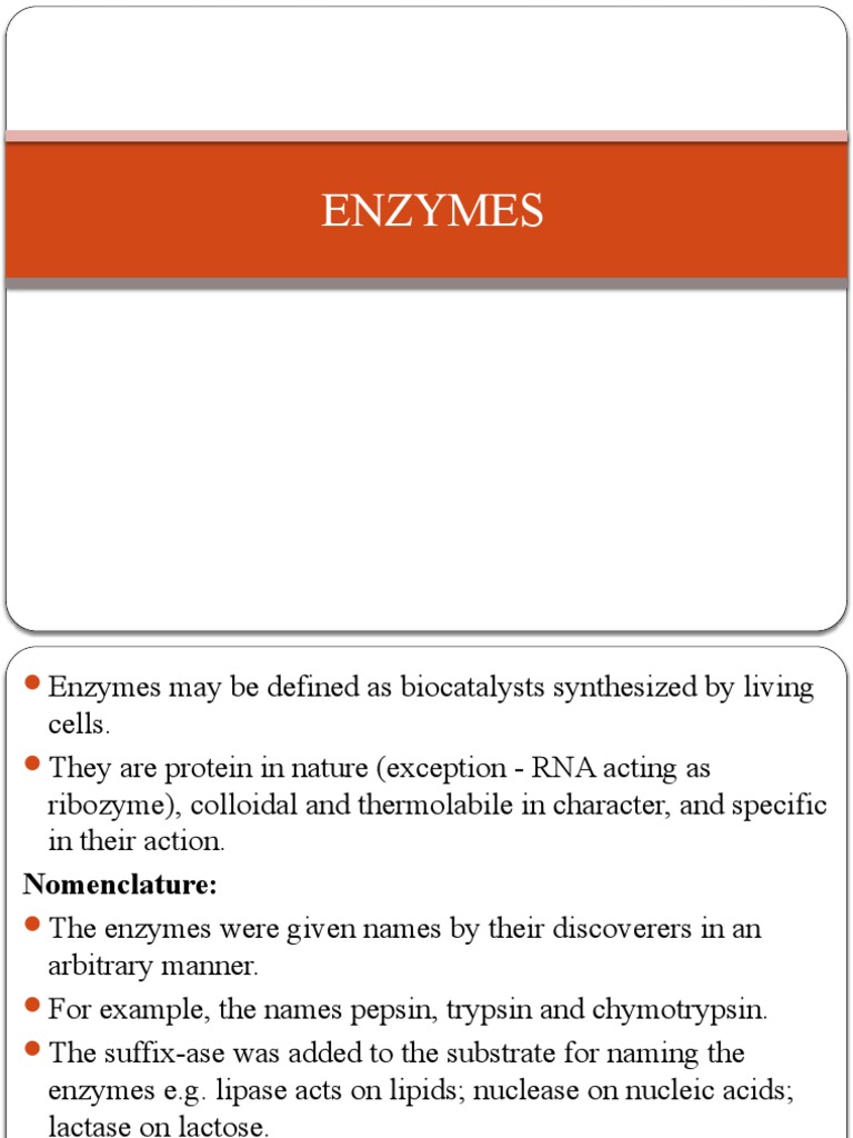 New Enzymes PDF Cofactor (Biochemistry) Enzyme