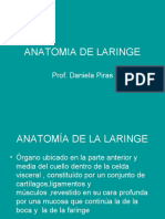 Anatomia de Laringe