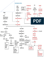 Patoflowdiagram Kanker Kolorektal New