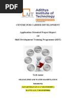 PDF Document