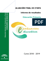 Informe EFE 2019 Primaria