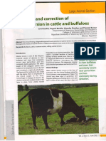 Diagnosis and Correction of Uterine Torsion in Cattle and Buffaloes