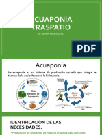 Acuaponía Traspatio123