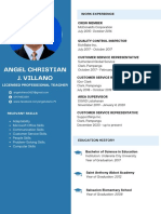 Blue Light Blue Color Blocks Flight Attendant CV