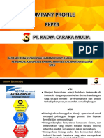 PKP2B Company Profile