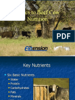 BasicstoSmallFarmBeefCowNutrition