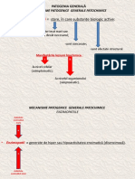 Curs 2 Gen MecPatGen Inflamatii