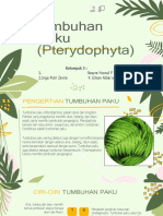 Tumbuhan Paku (Pterydophyta)