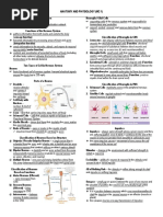 MC1 REVIEWER (Nervous System) - MIDTERMS