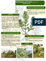 11 Poster Formation Burkina Faso Calotropis Procera Ait. Ait. F JDM