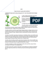 OPTIMAL  UNTUK TUMBUHAN