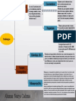 Mapa Conceptual Nairys Cadenas