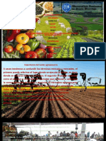 Presentación Tema Uno Mercado Agropecuario