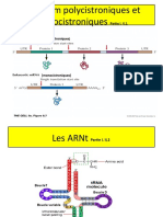 Physiologie Cellulaire - de La Traduction Au Transport Des Proteines